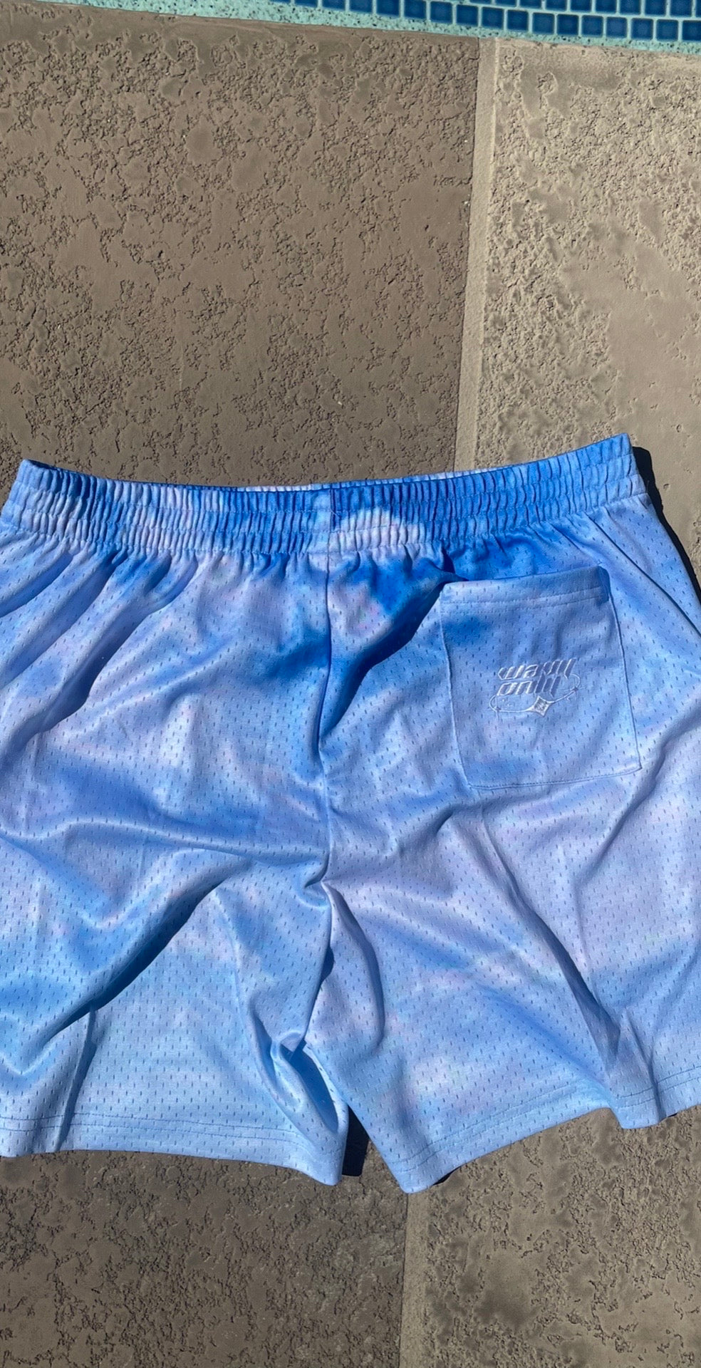 Clouded Skies - Mesh Shorts